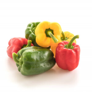 Capsicum