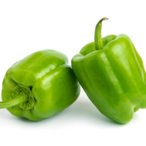 Capsicum